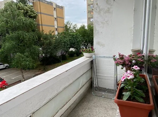 Hakuna Matata Hostel *